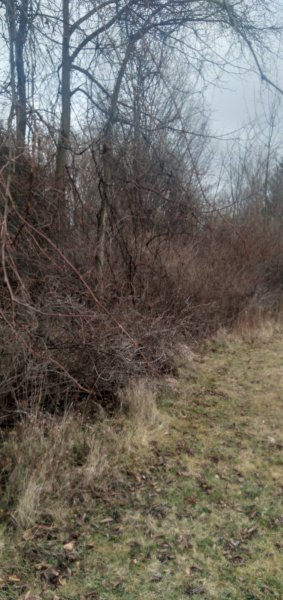 20230102_122215.jpg