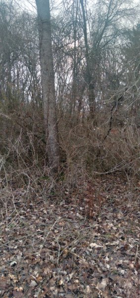 20230102_121924.jpg