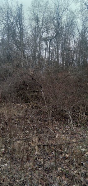 20230102_121916.jpg
