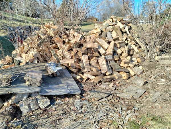 IMG_20230115_115858368_HDR.jpg
