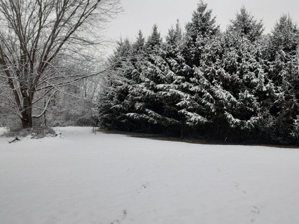 20230122_162844.jpg