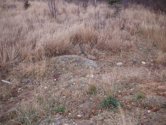 DSCF4365.JPG