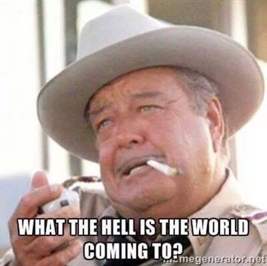 buford t justice what in hell is world coming to.jpg
