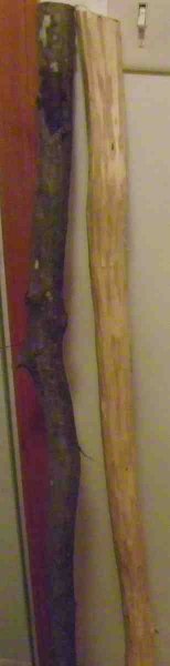101_0434-001.JPG