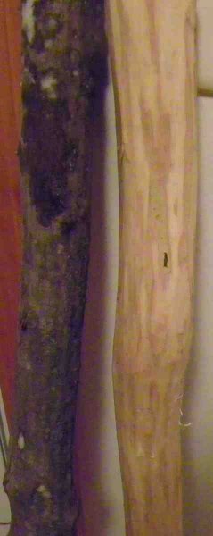 101_0435-001.JPG