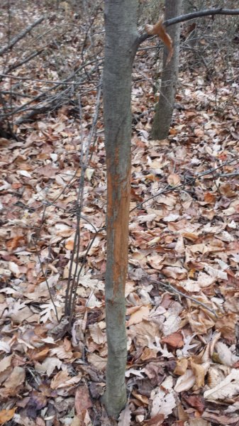 20141122_160033.jpg