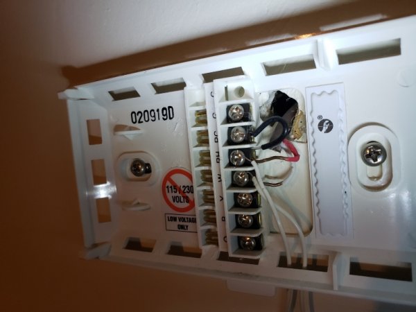 Wiring for thermguard 2.jpg