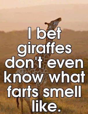 Giraffe don't smell farts.jpg