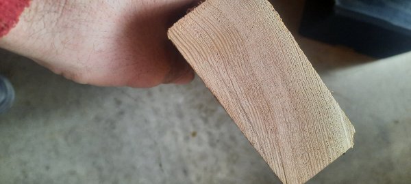 20230223_102739.jpg
