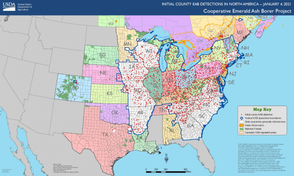 Emerald_ash_borer_map_2021.png