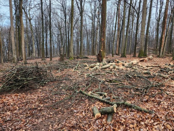 20230325_181455 (1).jpg