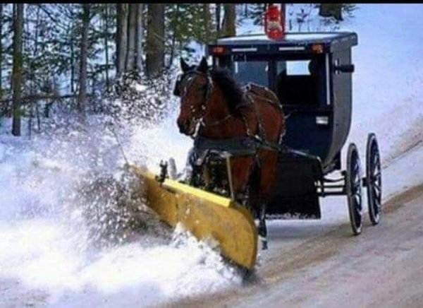 Amish snow plow.jpg