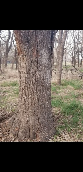Screenshot_20230404-190641_Gallery.jpg