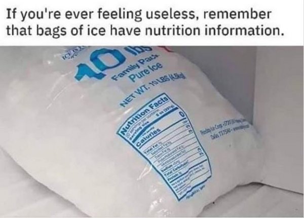 Bag of Ice.JPG