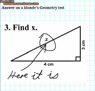 Blondes_answer_on_geometry_test.jpg