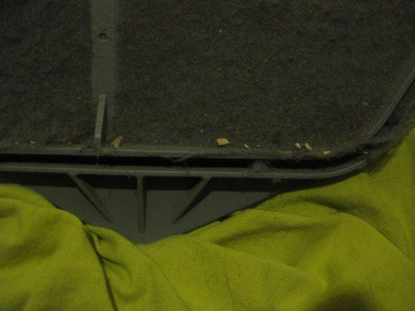IMG_3045.JPG