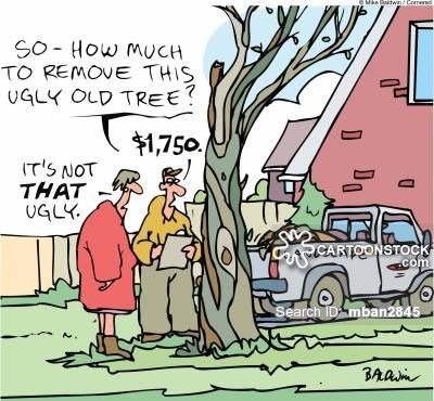 Cost of tree removal.jpg