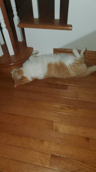 20221212_203501.jpg