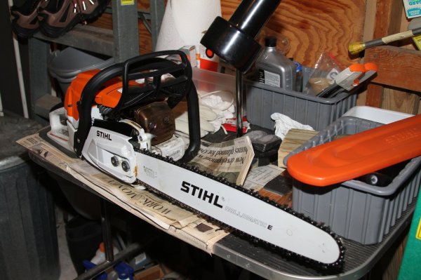 My Stihl Chainsaws 1111122022 (3).JPG