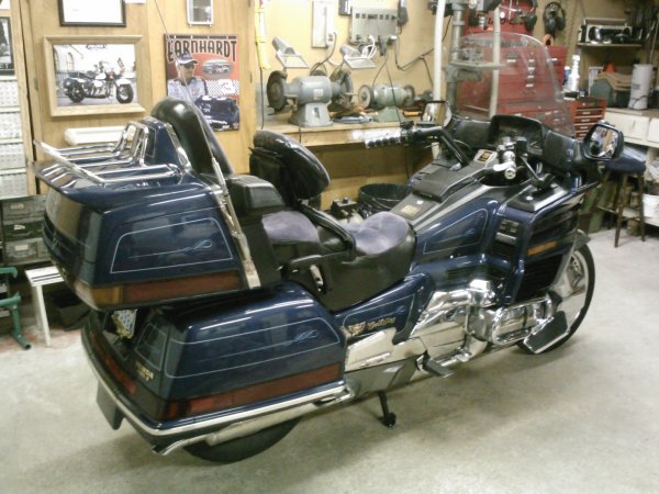 Blue Wing 010.jpg