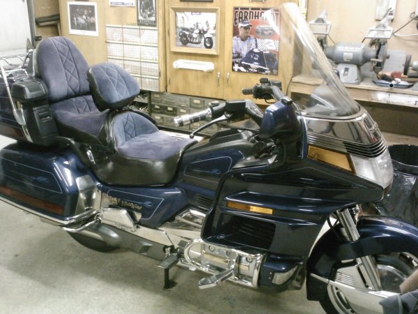 Blue Wing 012.jpg