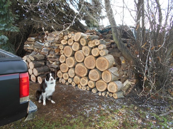 Nov cut 004.jpg