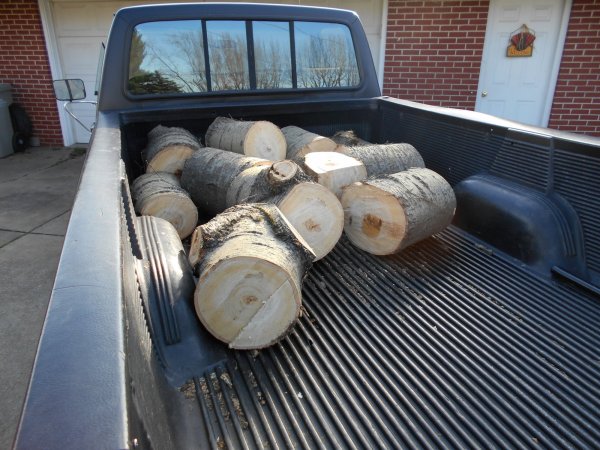 Nov cut 005.jpg