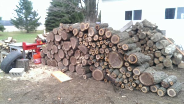 IMAG0685.jpg