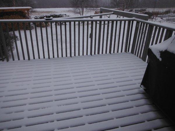 DSCF4408.JPG