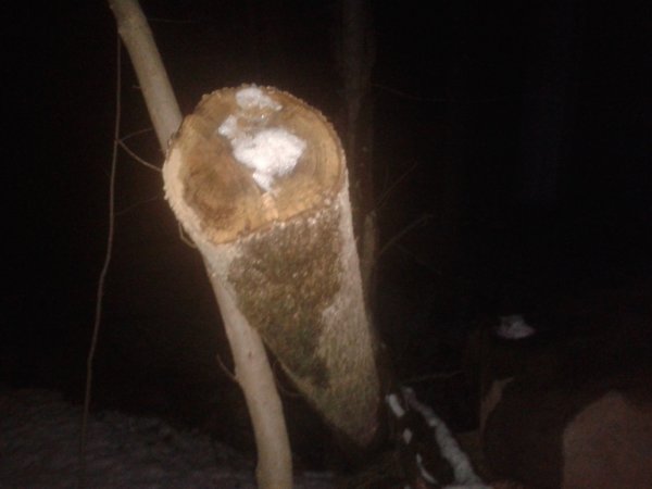 20141130_192309.jpg