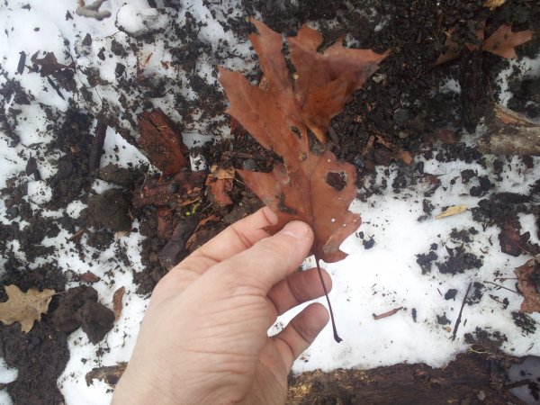 2014-12-01 13.14.20.jpg