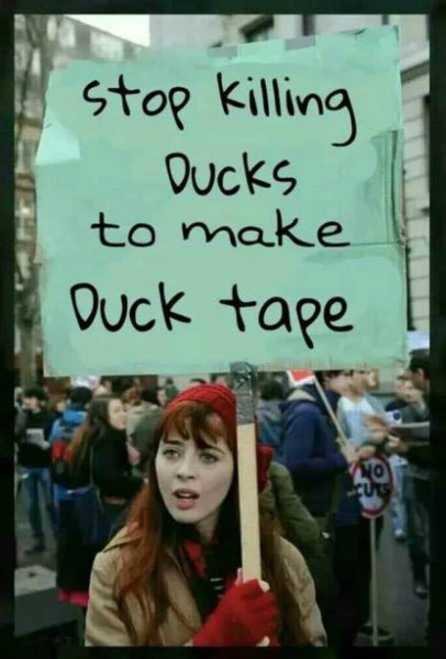 Ducks-tape.jpg