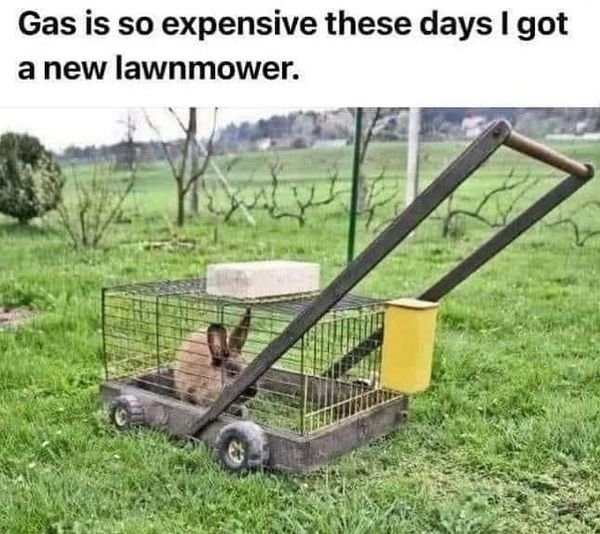 Lawn mower-new.jpg