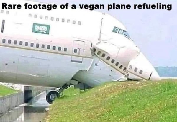 Vegan plane refueling.jpg