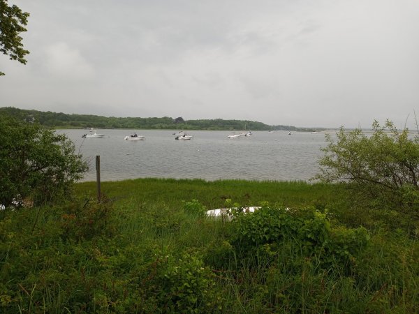 IMG_20230617_082737.jpg