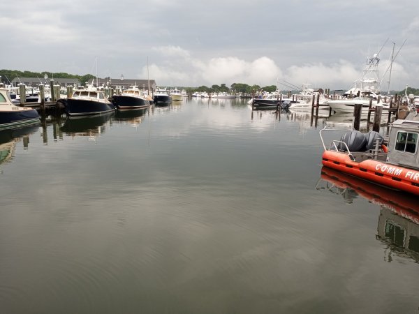 IMG_20230617_085424.jpg