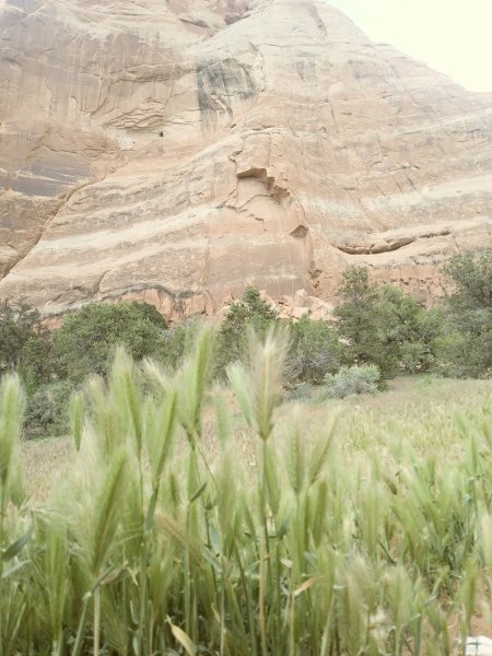 0518231632_Film2.jpg