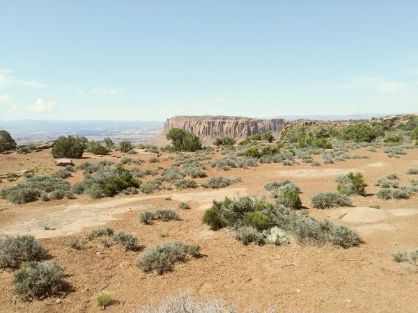0519231052_Film2.jpg