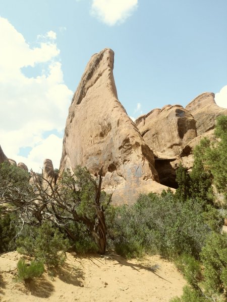 0519231450_Film2.jpg
