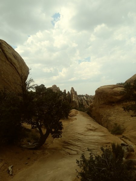 0519231526a_Film2.jpg