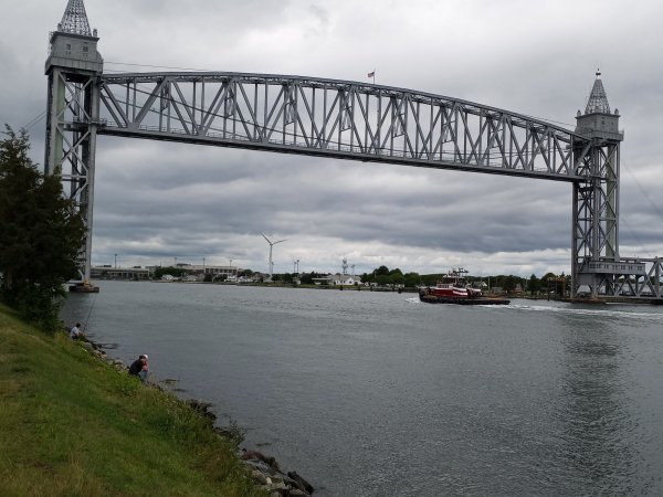 IMG_20230619_115355.jpg
