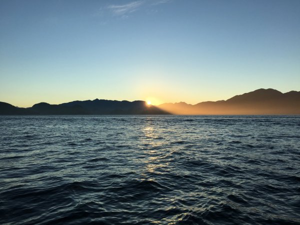 IMG_0487.jpeg
