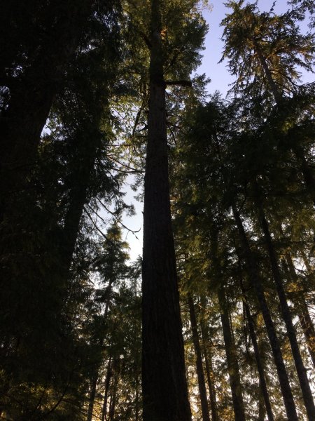 IMG_0540.jpeg