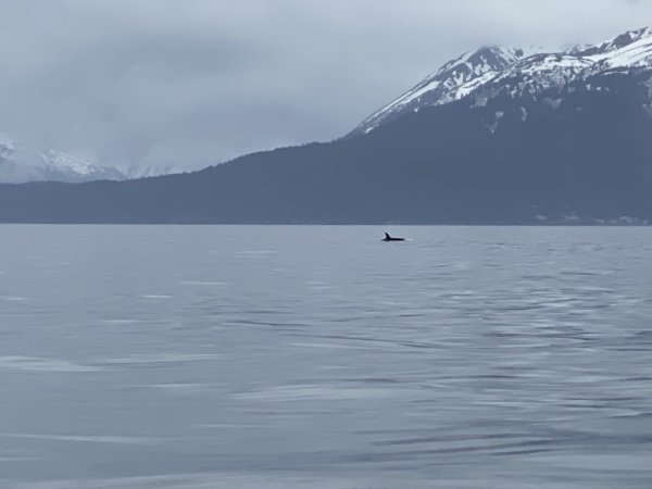 635B6585-A238-454D-B05F-0FCB0974BD2E.jpeg