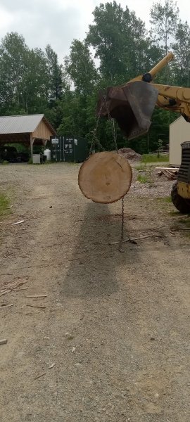 20230701_120456.jpg