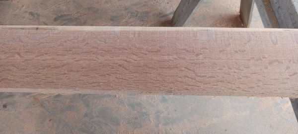 20230701_112611.jpg