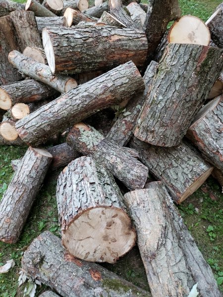 Confirm Id Firewood Hoarders Club