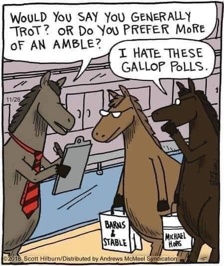 Gallop Poles.jpg