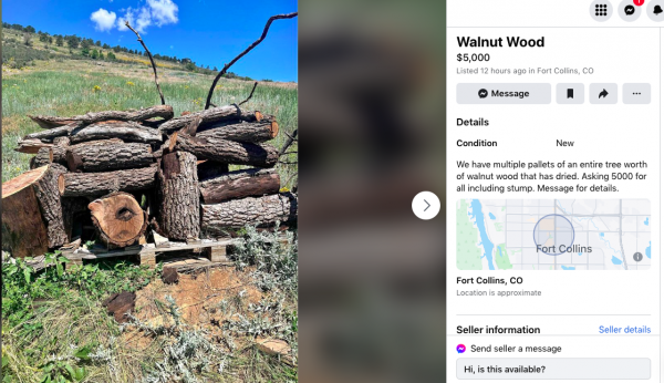 Screen Shot 2023-07-13 at 10.59.34 AM.png