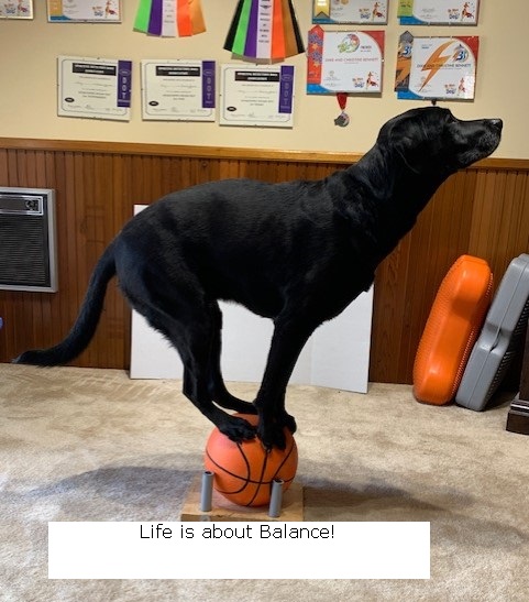 basketball balance3 with Life is Balance.jpg